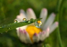God's Wonderous World