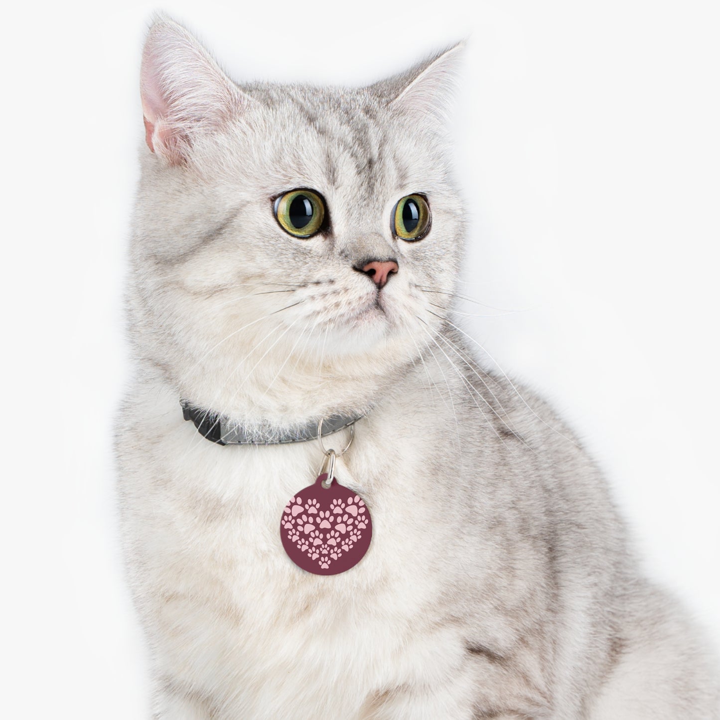 Médaille pour animal de compagnie