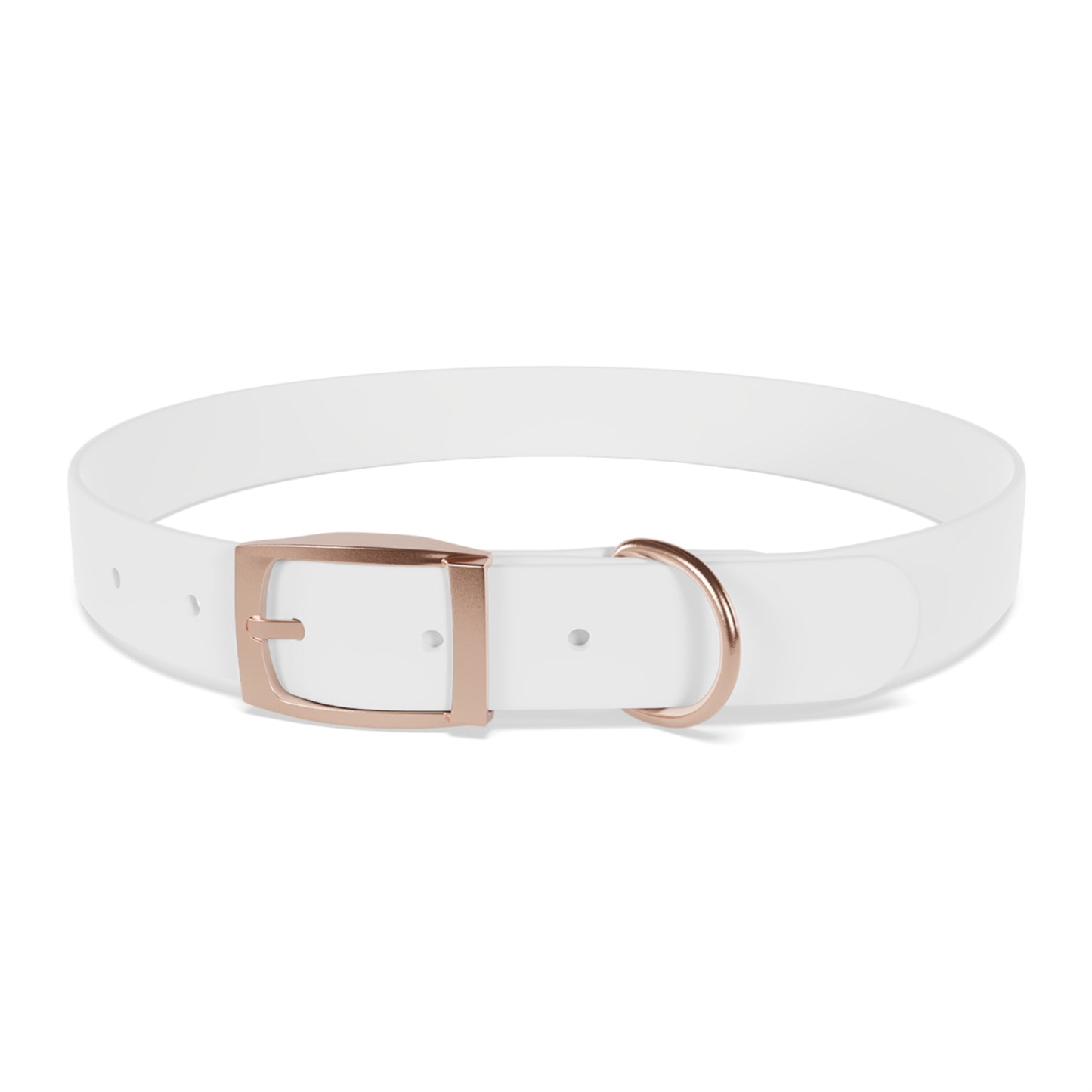 Collier pour chien