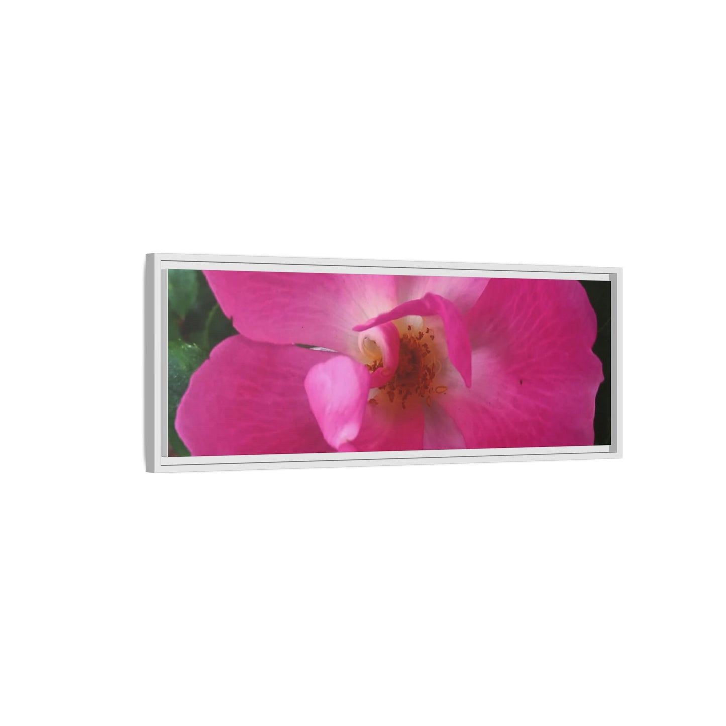Framed Floral Canvas Art Print | Vibrant Pink Flower Decor, Wall Art for Home, Gift for Her, Mother's Day, Birthday