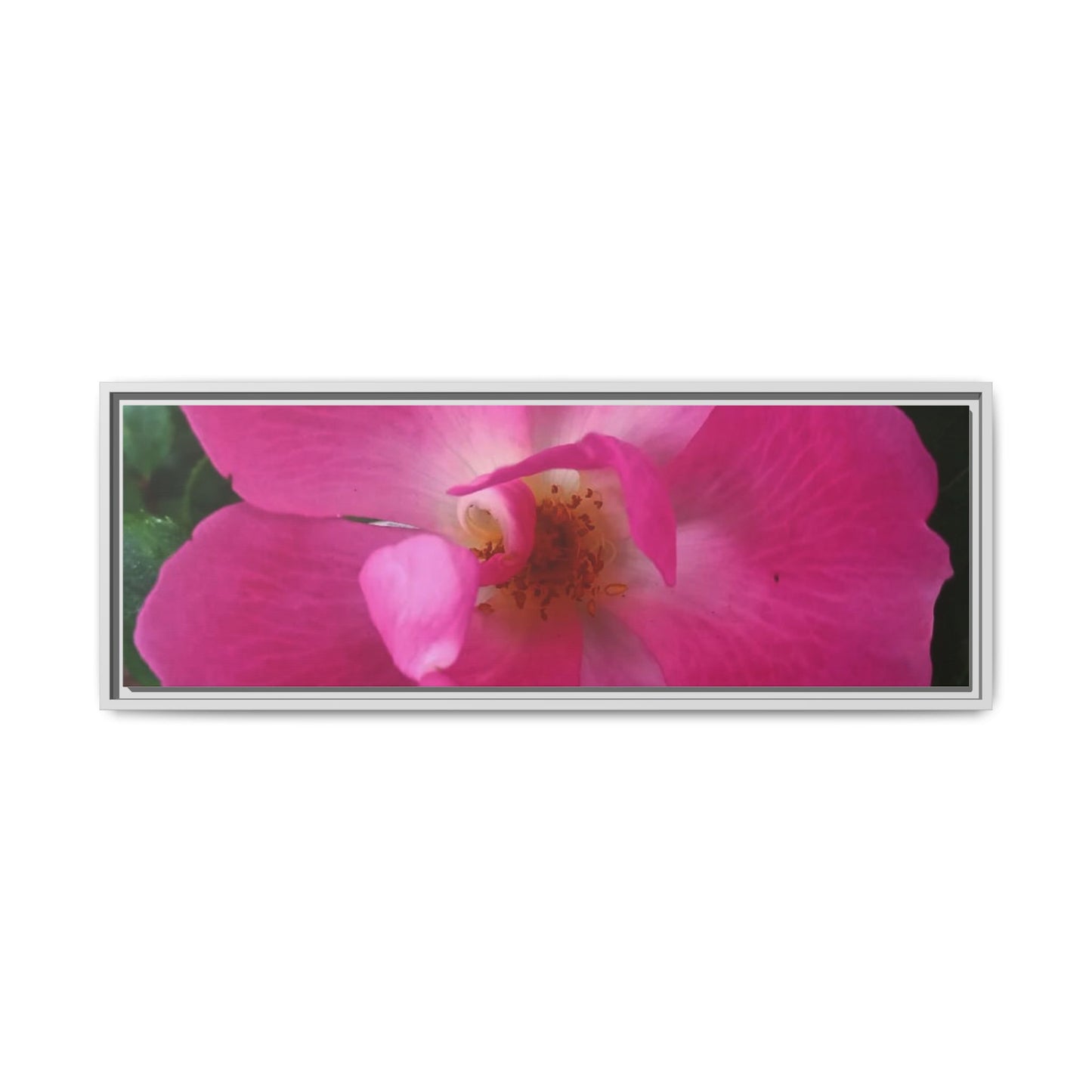 Framed Floral Canvas Art Print | Vibrant Pink Flower Decor, Wall Art for Home, Gift for Her, Mother's Day, Birthday