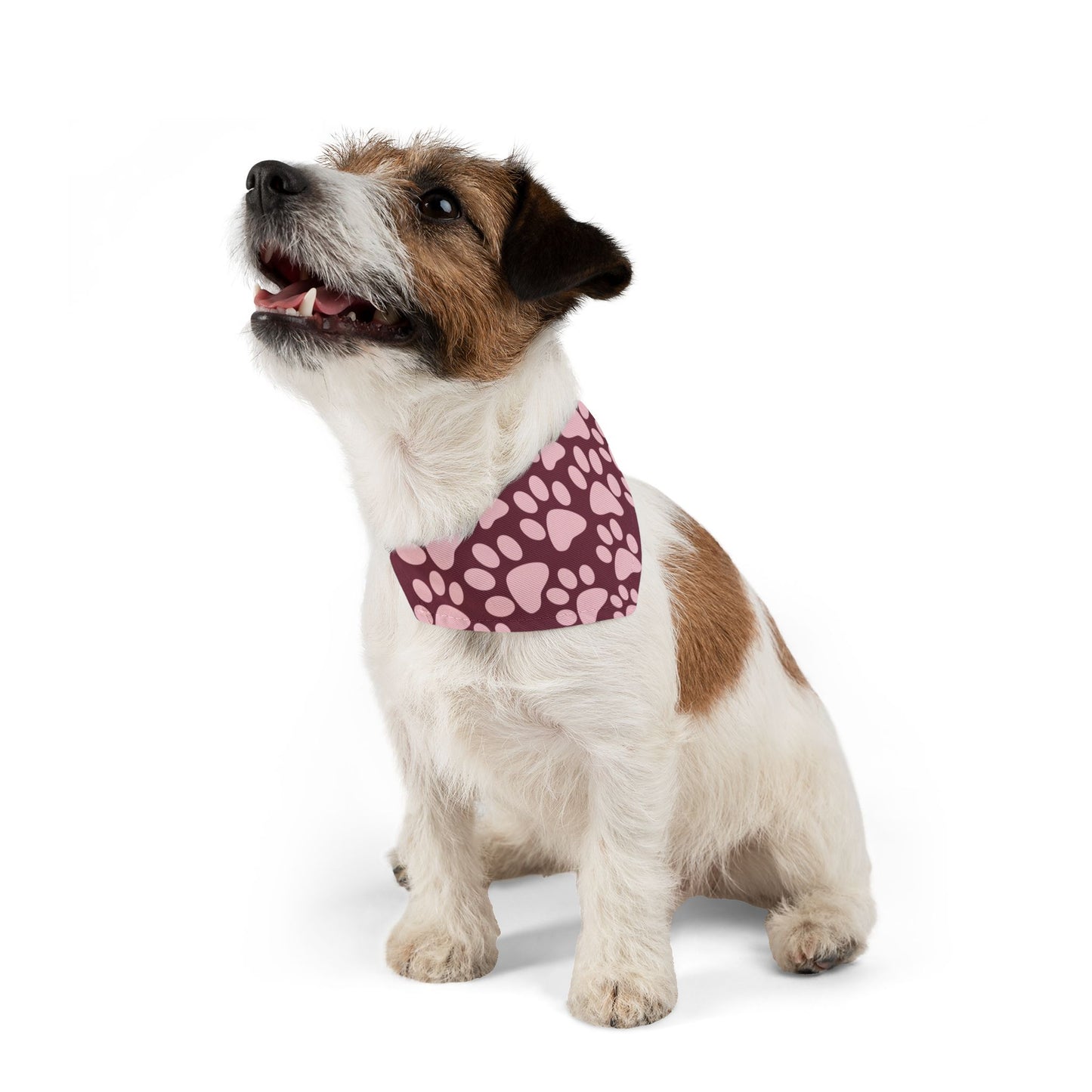 Collier bandana pour animaux de compagnie