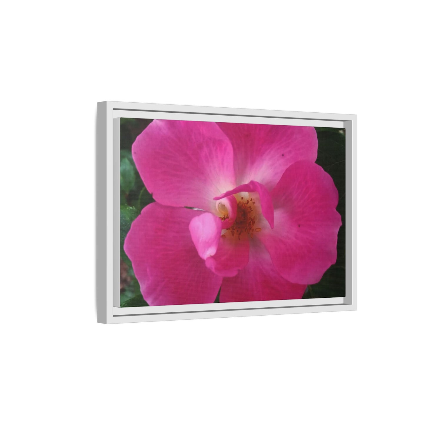 Framed Floral Canvas Art Print | Vibrant Pink Flower Decor, Wall Art for Home, Gift for Her, Mother's Day, Birthday