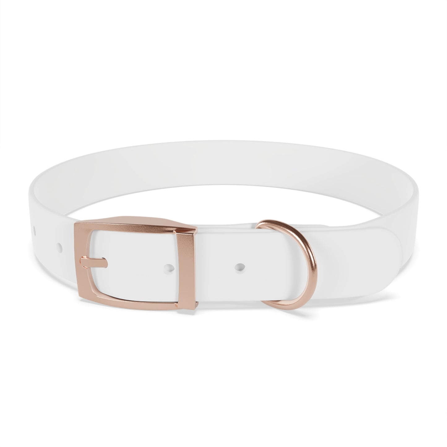 Collier pour chien
