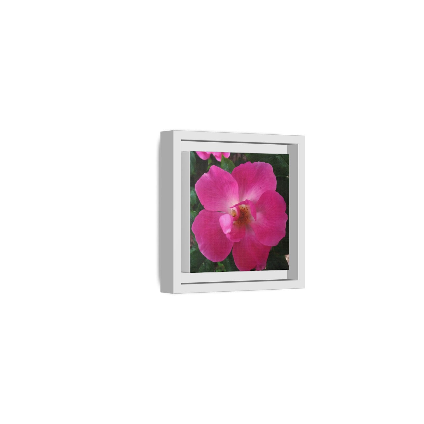 Framed Floral Canvas Art Print | Vibrant Pink Flower Decor, Wall Art for Home, Gift for Her, Mother's Day, Birthday