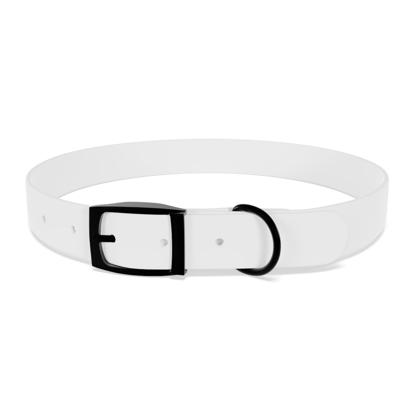 Collier pour chien