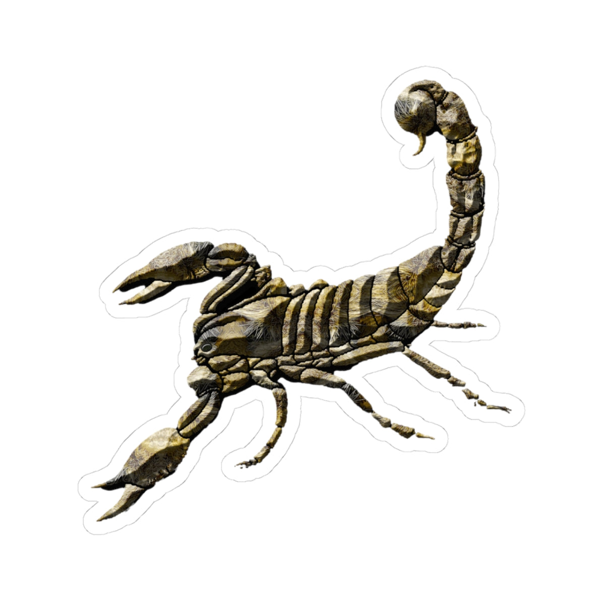 Pegatina de escorpión