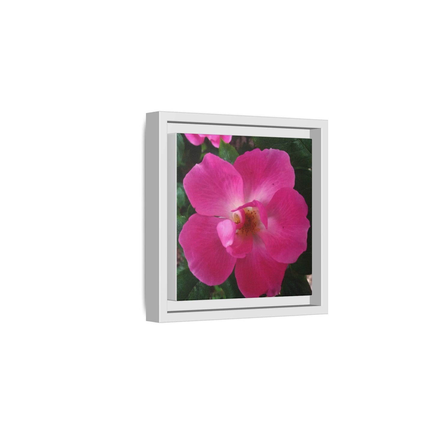 Framed Floral Canvas Art Print | Vibrant Pink Flower Decor, Wall Art for Home, Gift for Her, Mother's Day, Birthday