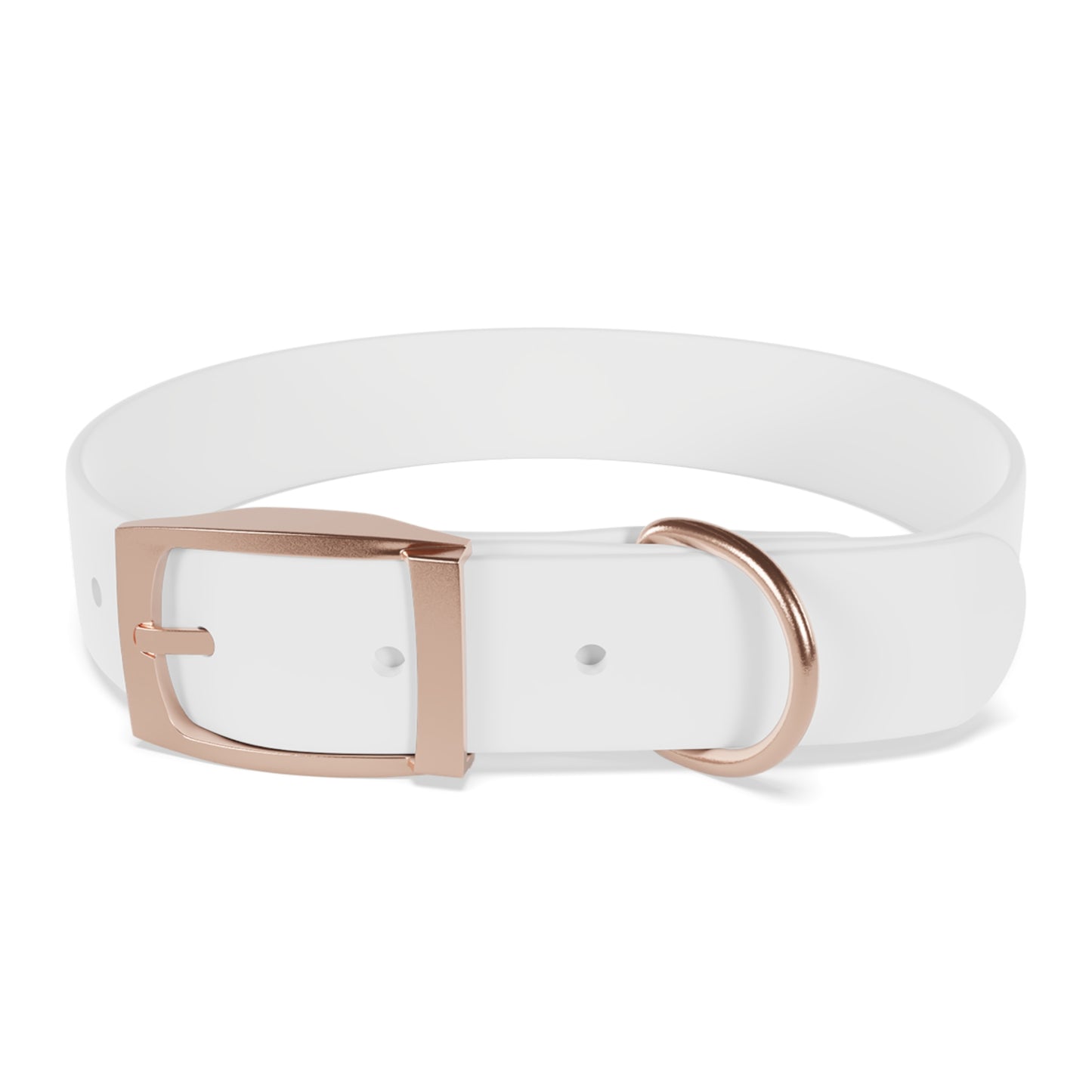 Collier pour chien