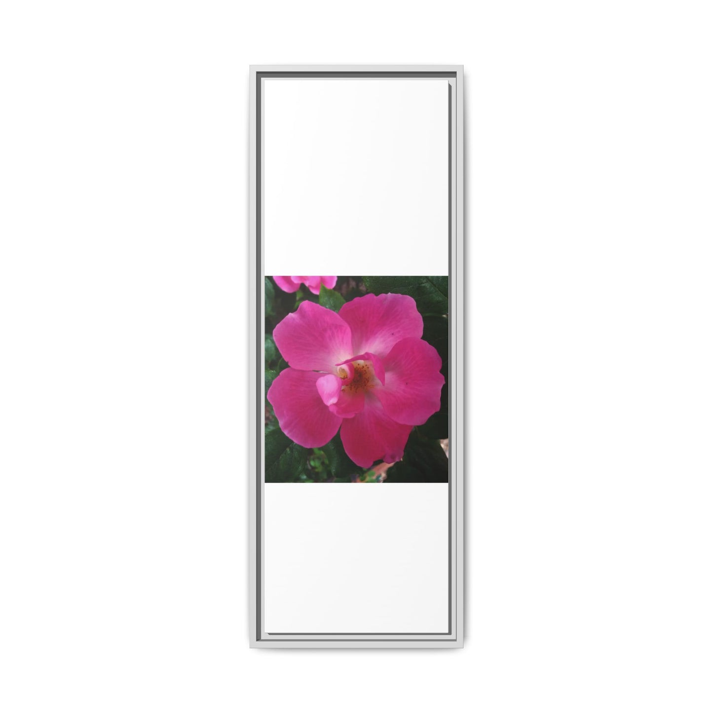 Framed Floral Canvas Art Print | Vibrant Pink Flower Decor, Wall Art for Home, Gift for Her, Mother's Day, Birthday