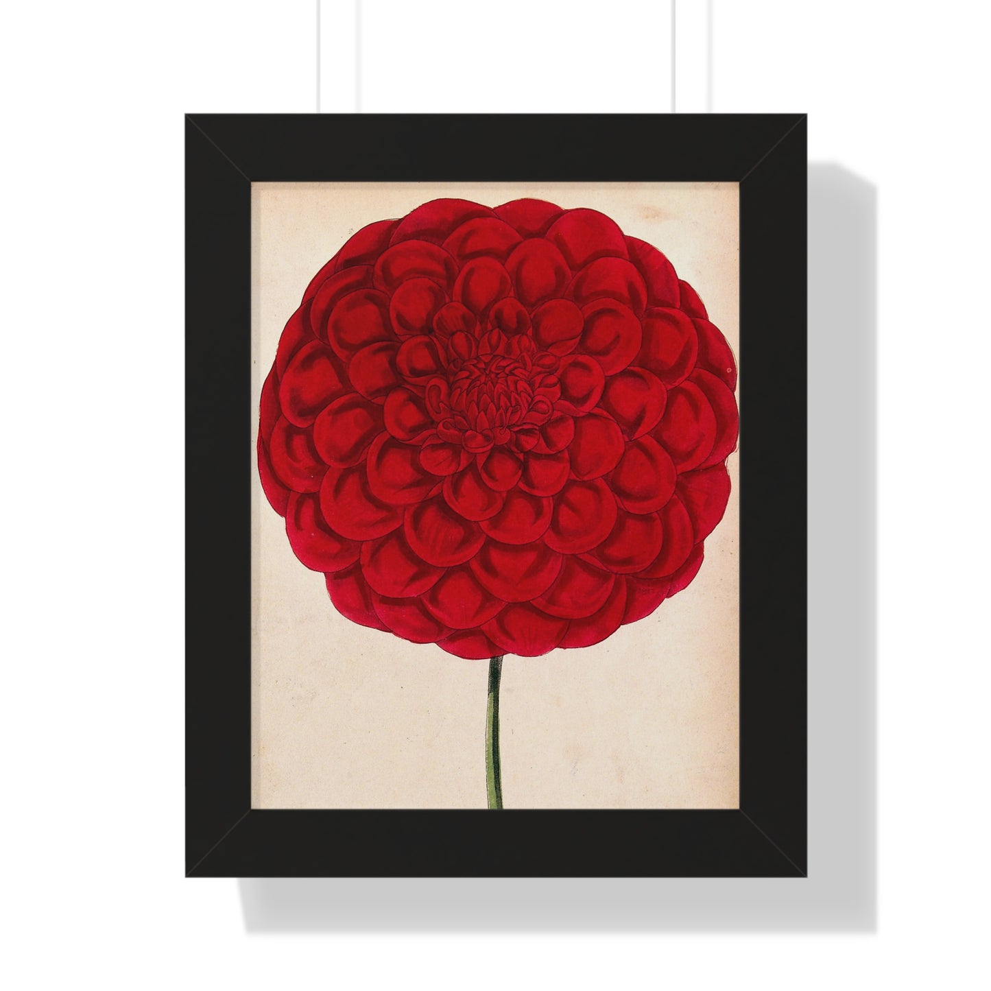 Póster vertical enmarcado de 11 x 14 pulgadas con flores rojas