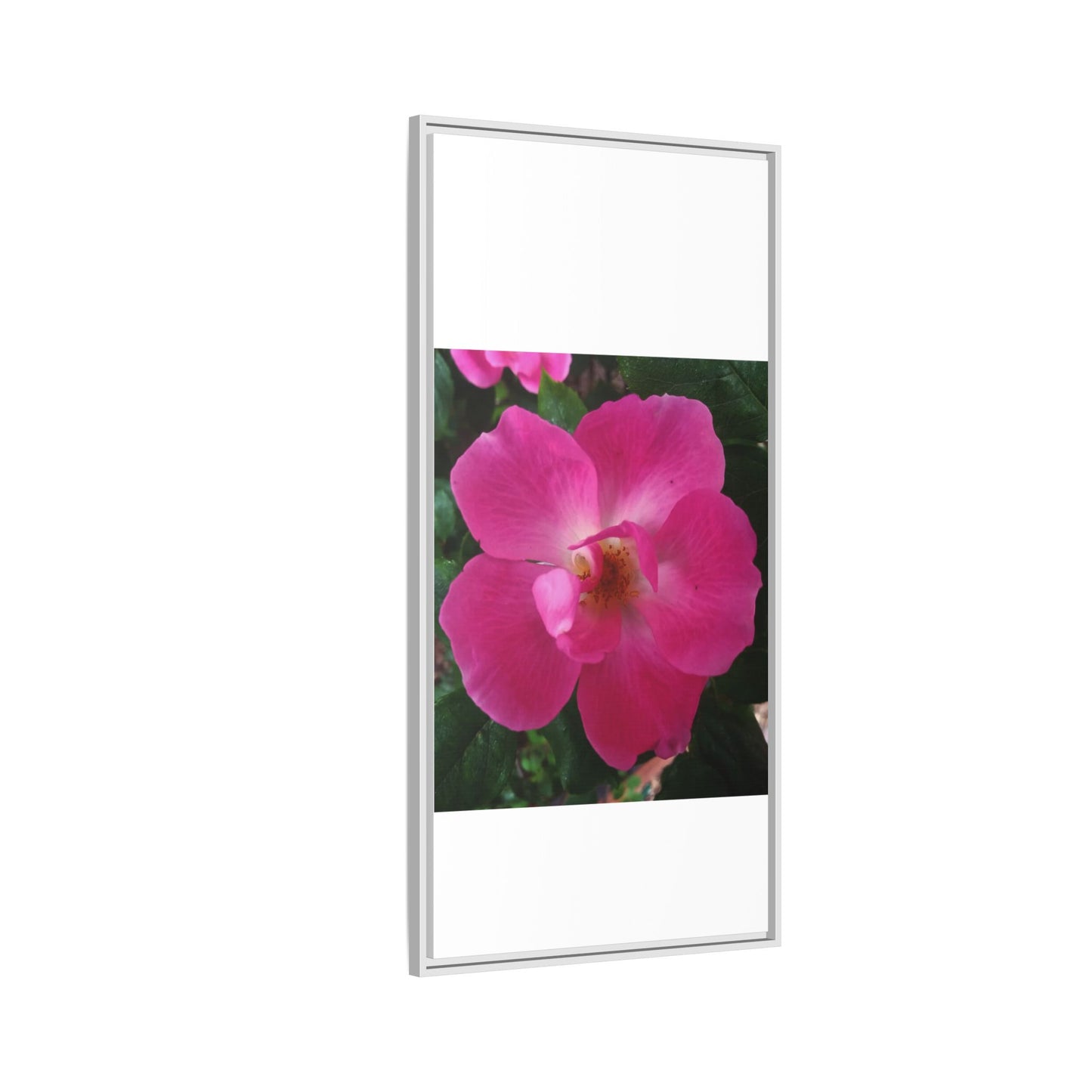 Framed Floral Canvas Art Print | Vibrant Pink Flower Decor, Wall Art for Home, Gift for Her, Mother's Day, Birthday