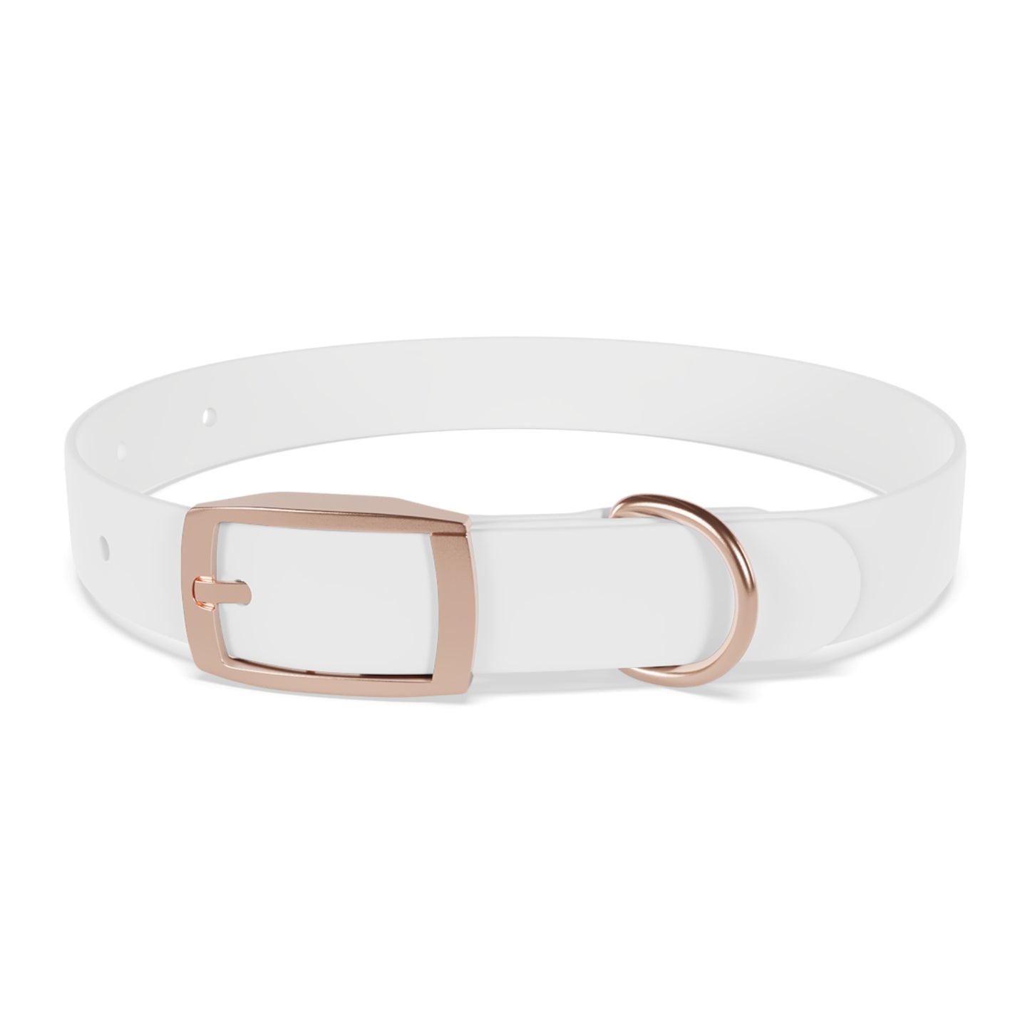 Collier pour chien