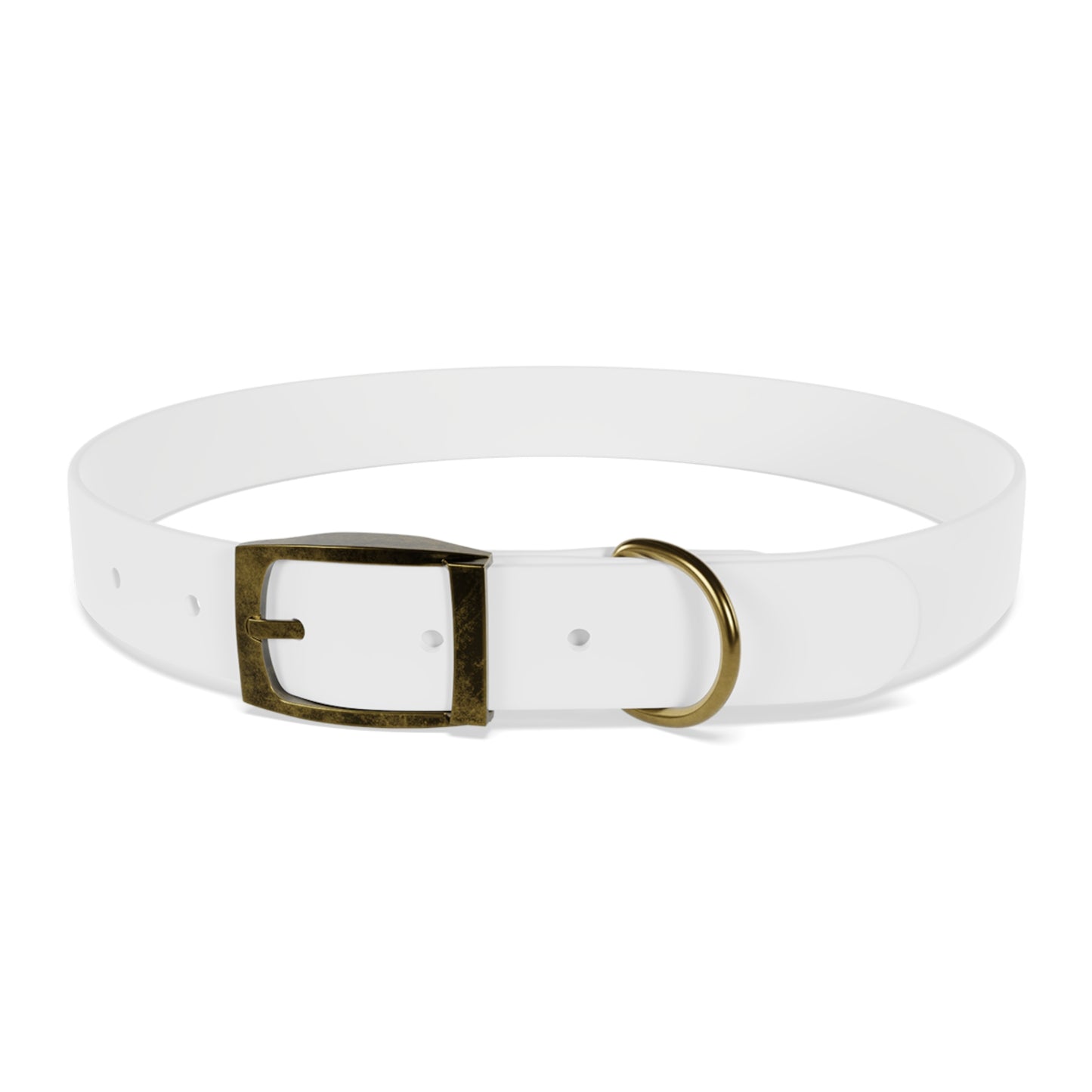 Collier pour chien