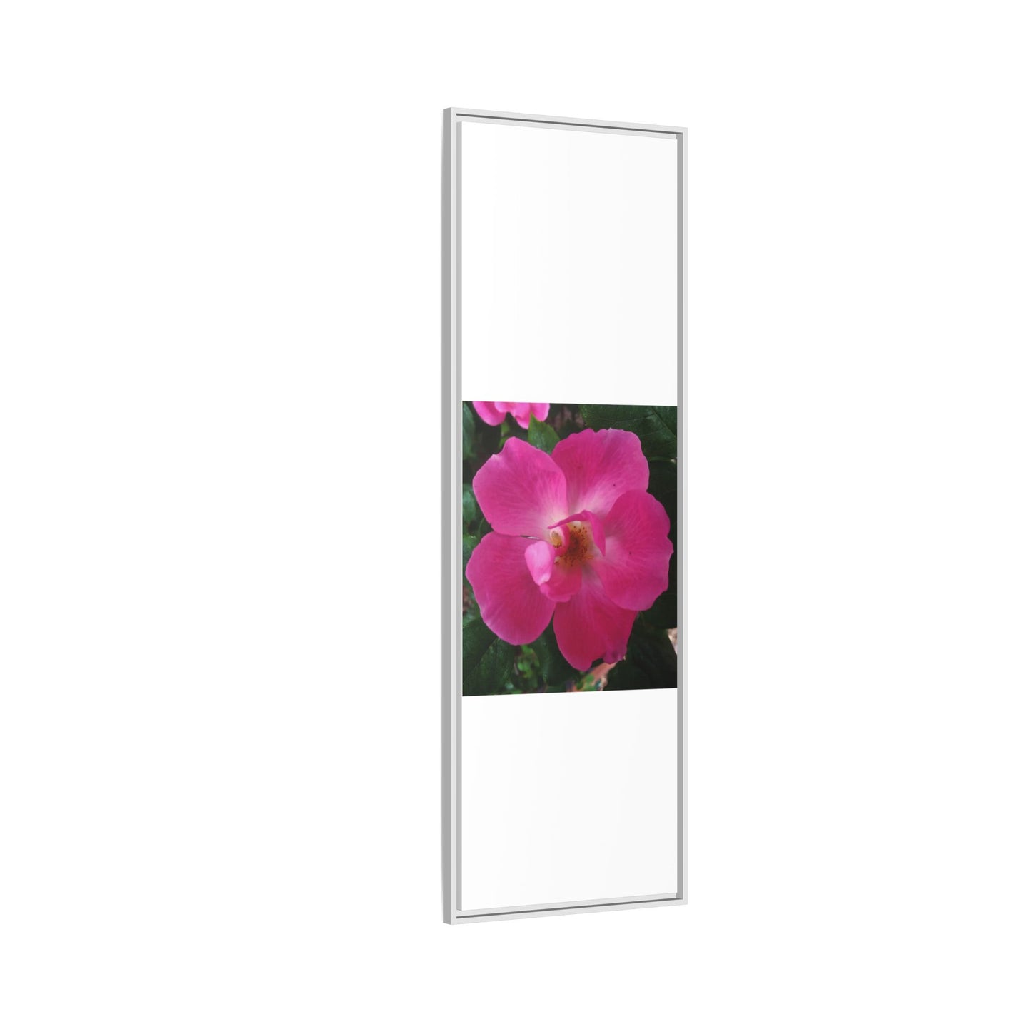Framed Floral Canvas Art Print | Vibrant Pink Flower Decor, Wall Art for Home, Gift for Her, Mother's Day, Birthday