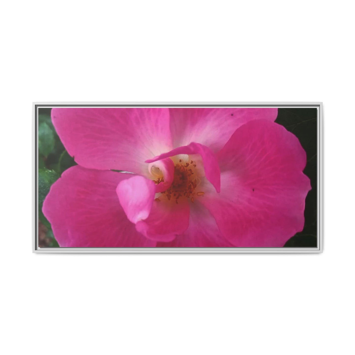 Framed Floral Canvas Art Print | Vibrant Pink Flower Decor, Wall Art for Home, Gift for Her, Mother's Day, Birthday