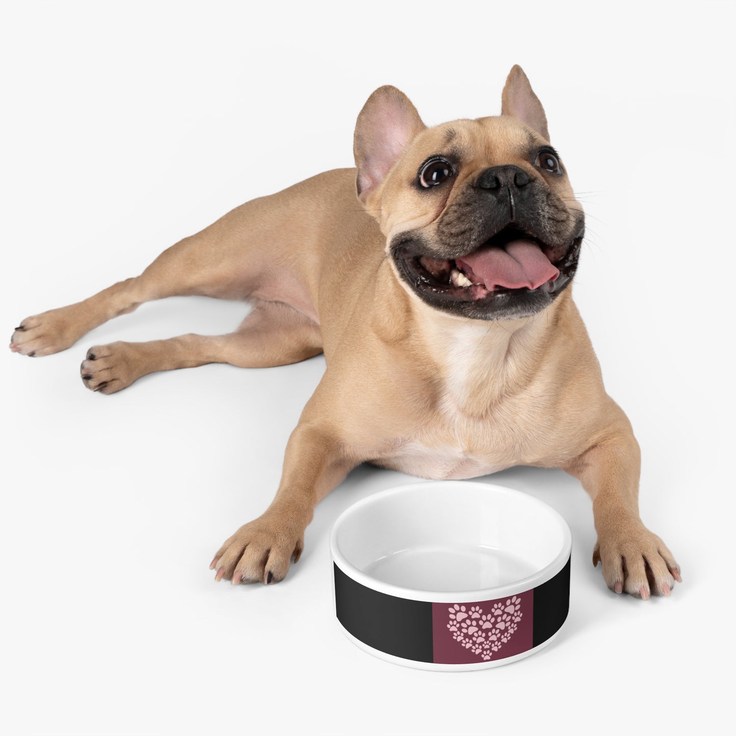 Pet Bowl