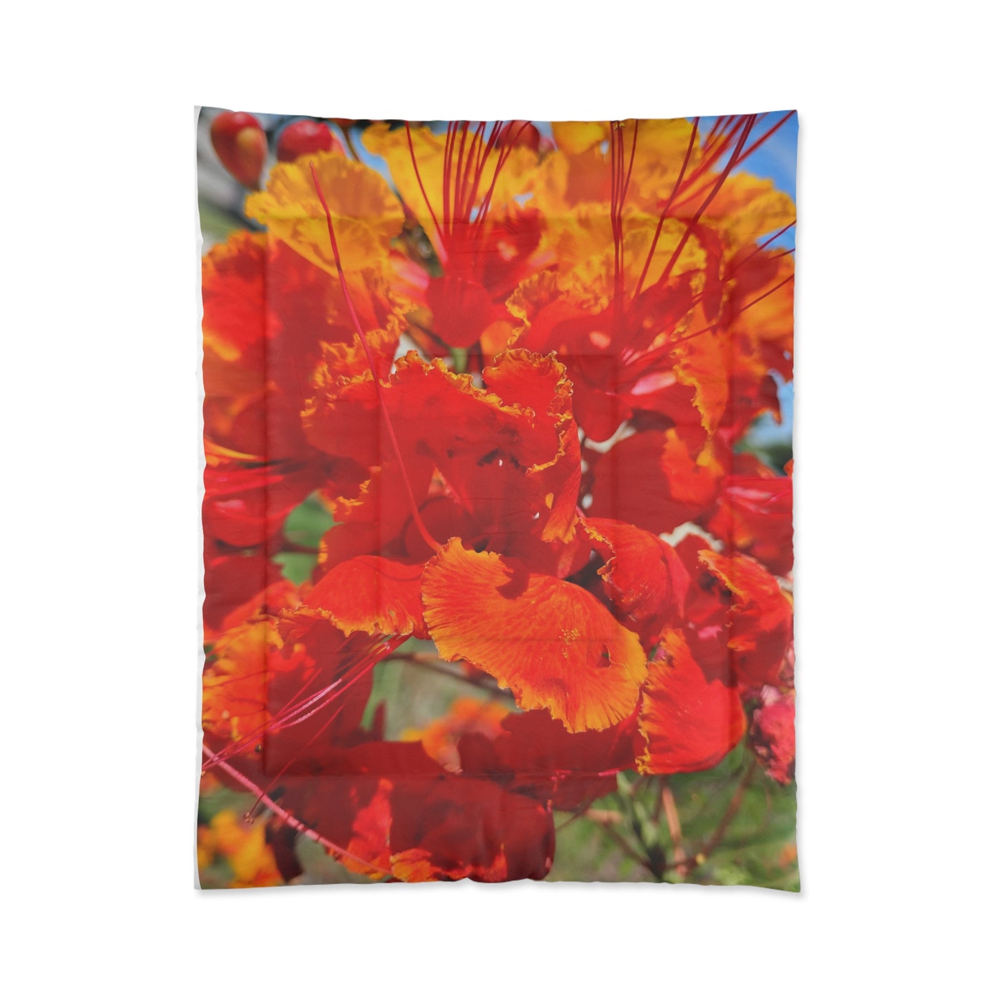 Vibrant Orange Flowers Comforter Oh My Goodness It's Beautiful! Matching Pillows & Towels!