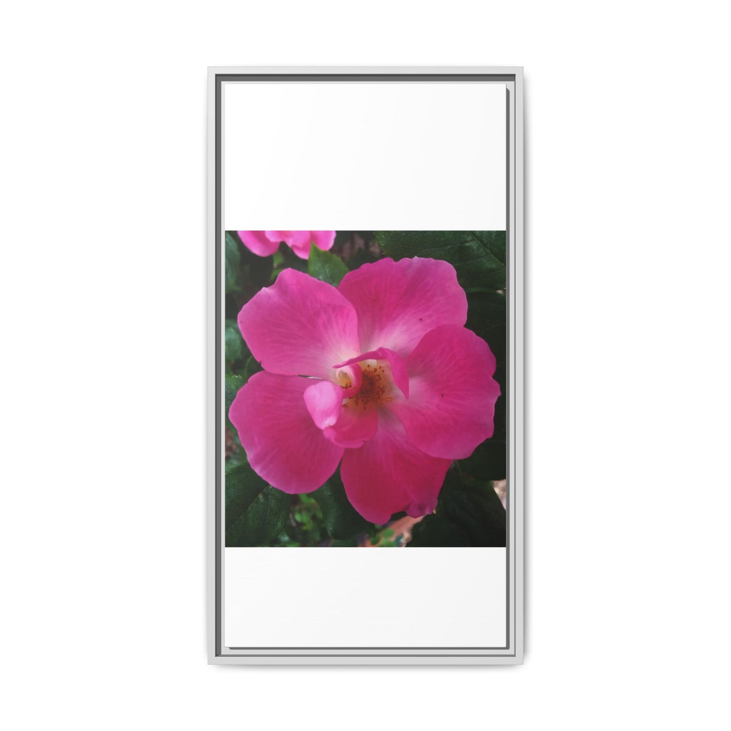 Framed Floral Canvas Art Print | Vibrant Pink Flower Decor, Wall Art for Home, Gift for Her, Mother's Day, Birthday