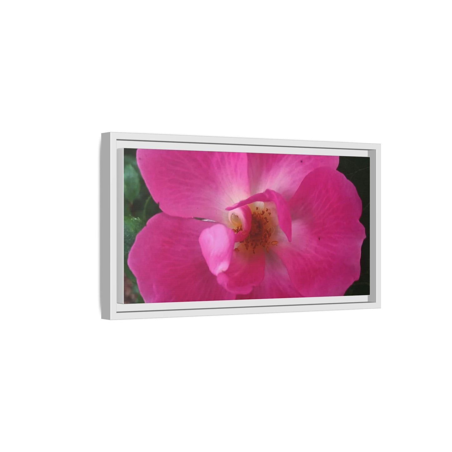 Framed Floral Canvas Art Print | Vibrant Pink Flower Decor, Wall Art for Home, Gift for Her, Mother's Day, Birthday