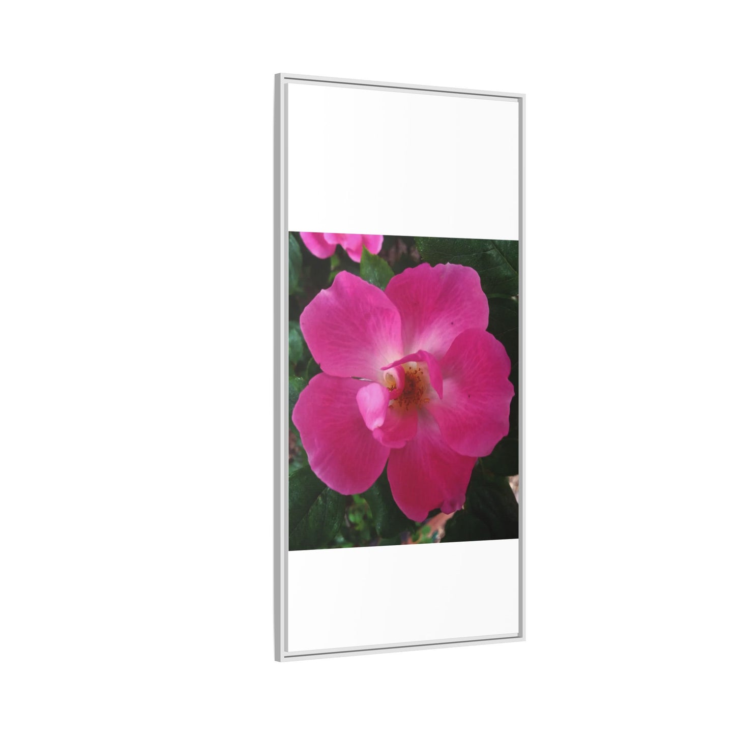 Framed Floral Canvas Art Print | Vibrant Pink Flower Decor, Wall Art for Home, Gift for Her, Mother's Day, Birthday