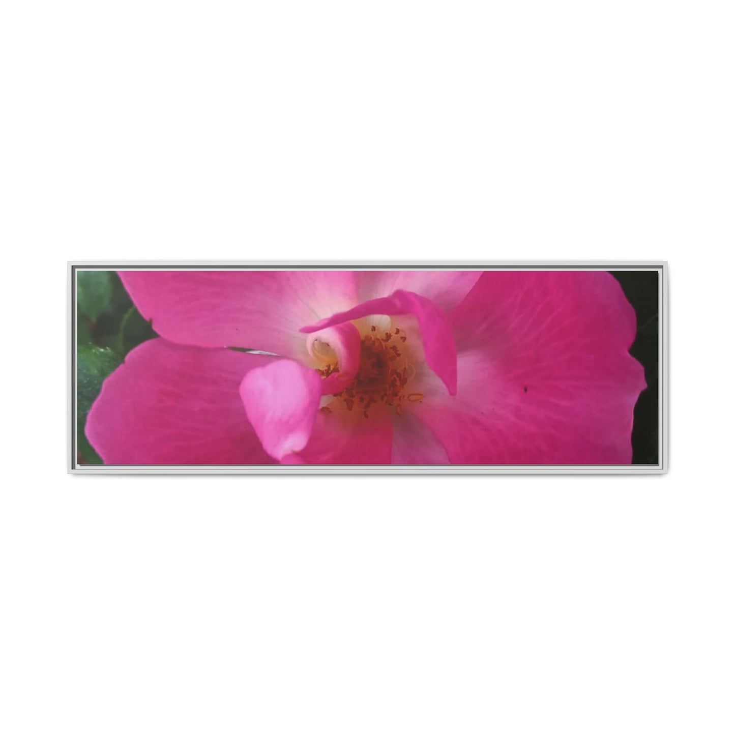 Framed Floral Canvas Art Print | Vibrant Pink Flower Decor, Wall Art for Home, Gift for Her, Mother's Day, Birthday