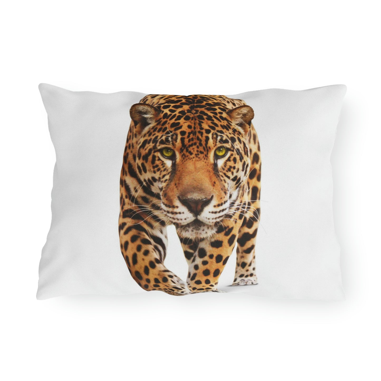 Almohadas de exterior de guepardo ¡Relajándome en mi jardín divirtiéndome!