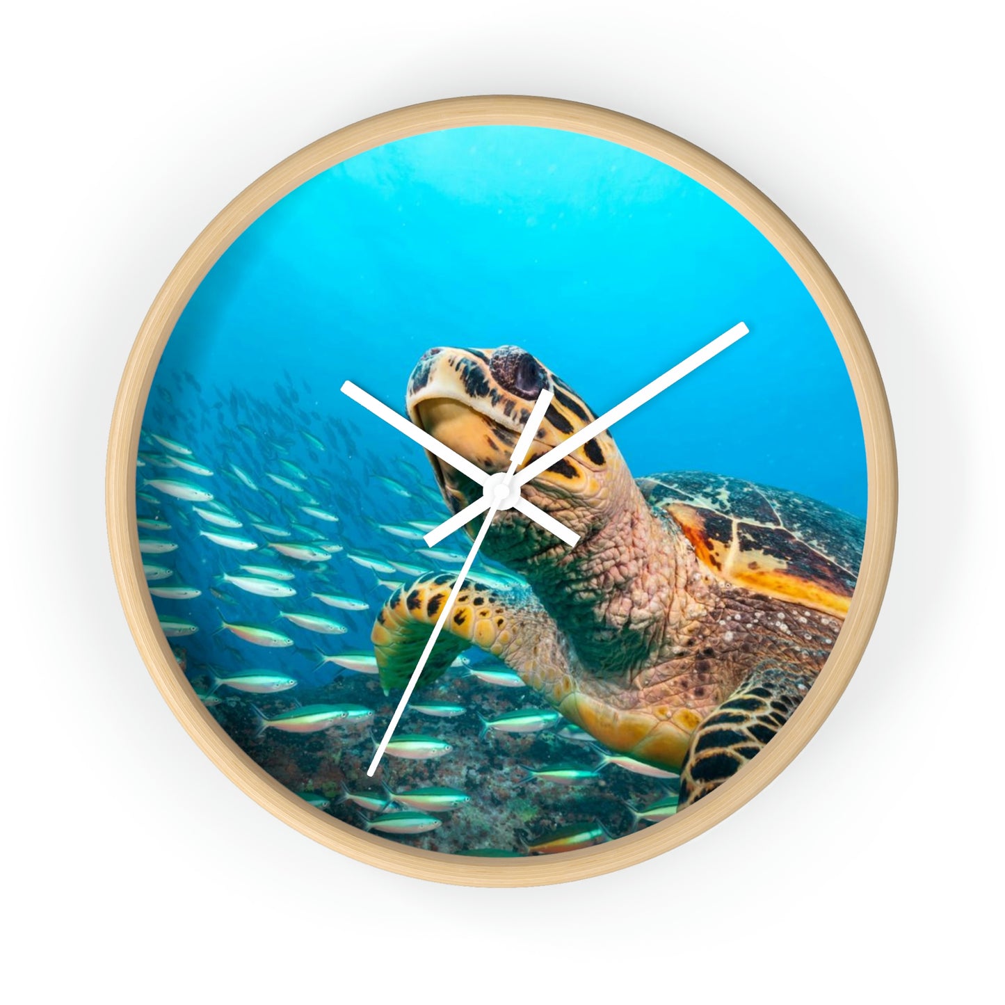 Reloj de pared con forma de tortuga en el océano. ¡Colores increíbles! ¡Me encanta!