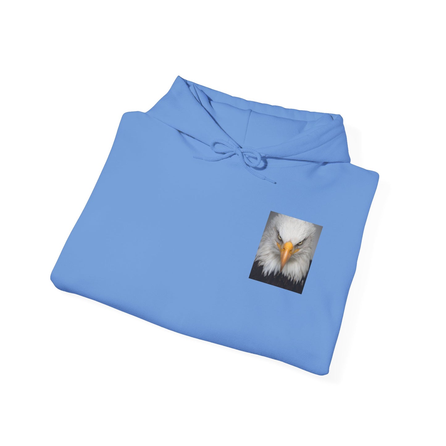 Hooded Sweatshirt - Make America Fabulous Now!