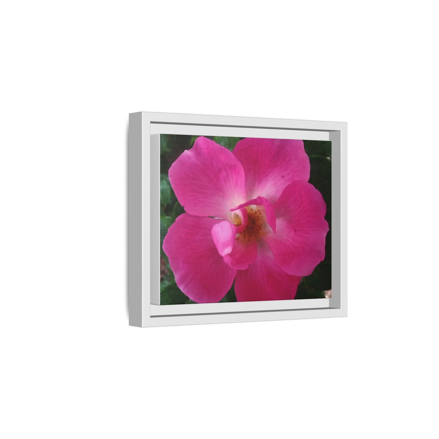 Framed Floral Canvas Art Print | Vibrant Pink Flower Decor, Wall Art for Home, Gift for Her, Mother's Day, Birthday