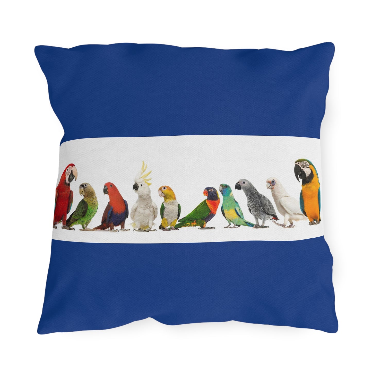 Outdoor Pillows