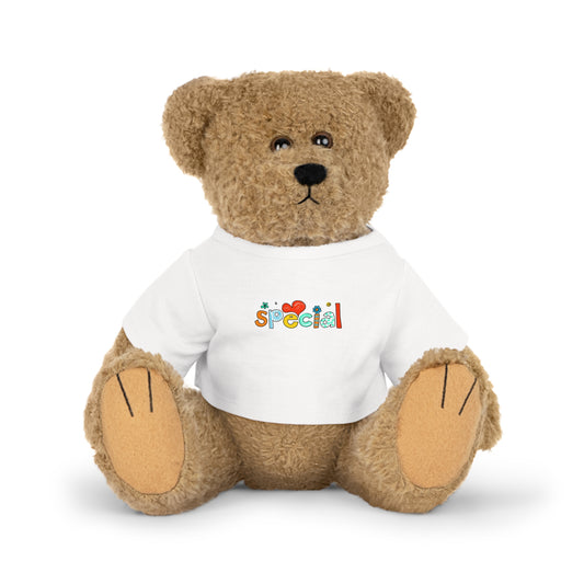 Plush Teddy Bear with T-Shirt Special