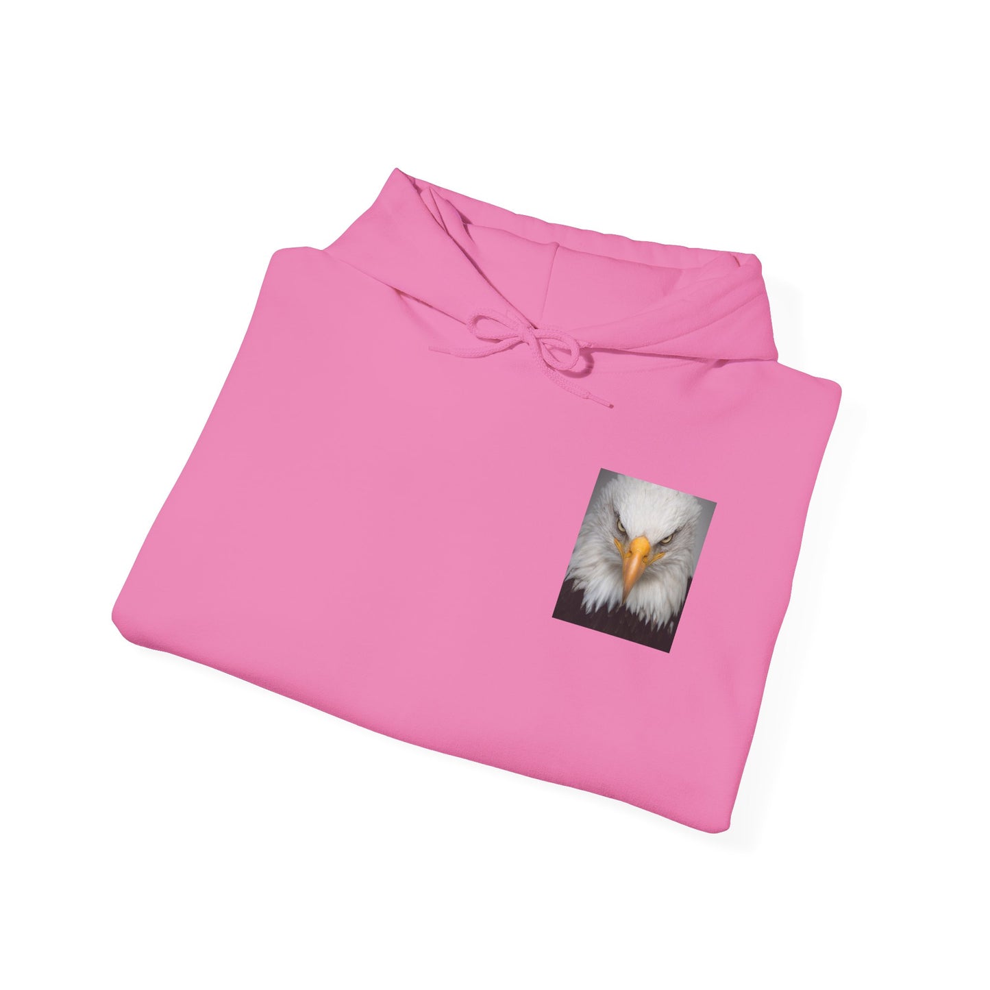 Hooded Sweatshirt - Make America Fabulous Now!