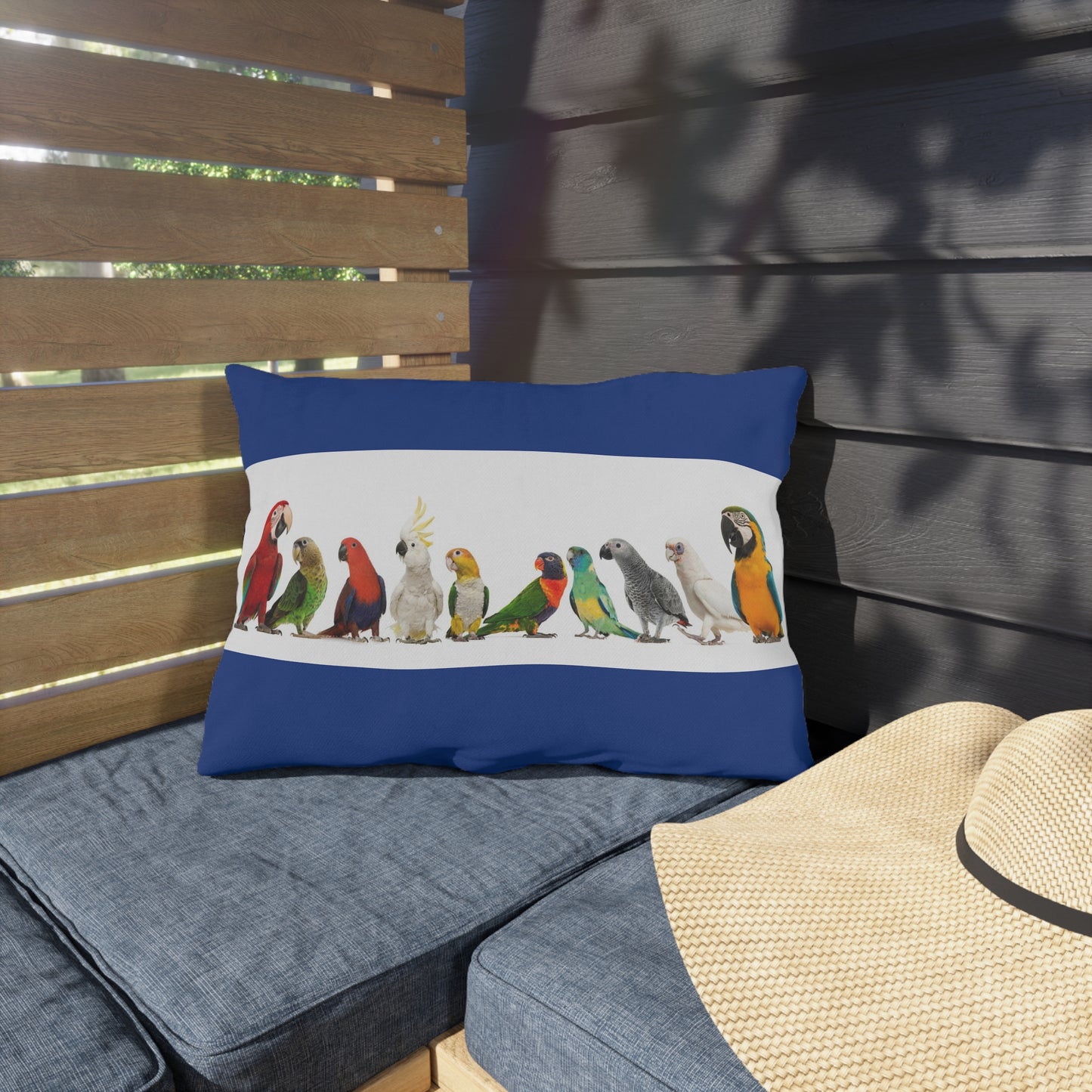 Outdoor Pillows