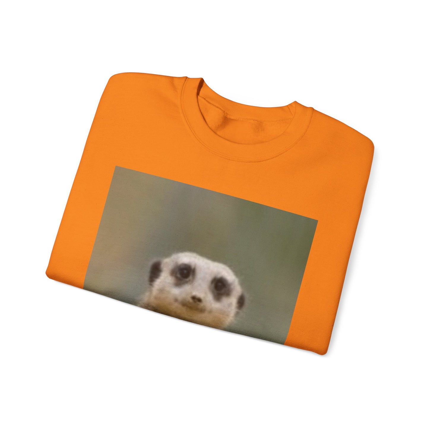 Sudadera de cuello redondo con fotografía de vida silvestre: un regalo para los amantes de la naturaleza 