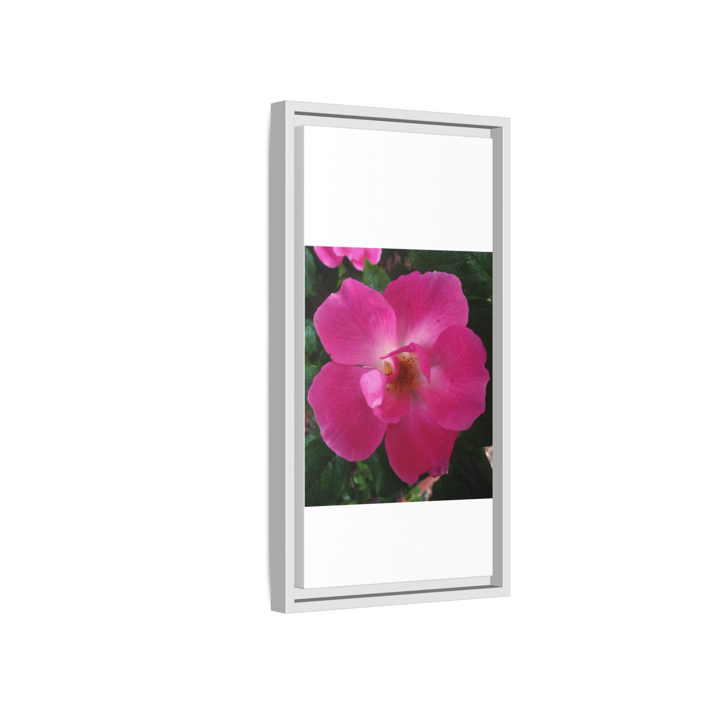 Framed Floral Canvas Art Print | Vibrant Pink Flower Decor, Wall Art for Home, Gift for Her, Mother's Day, Birthday