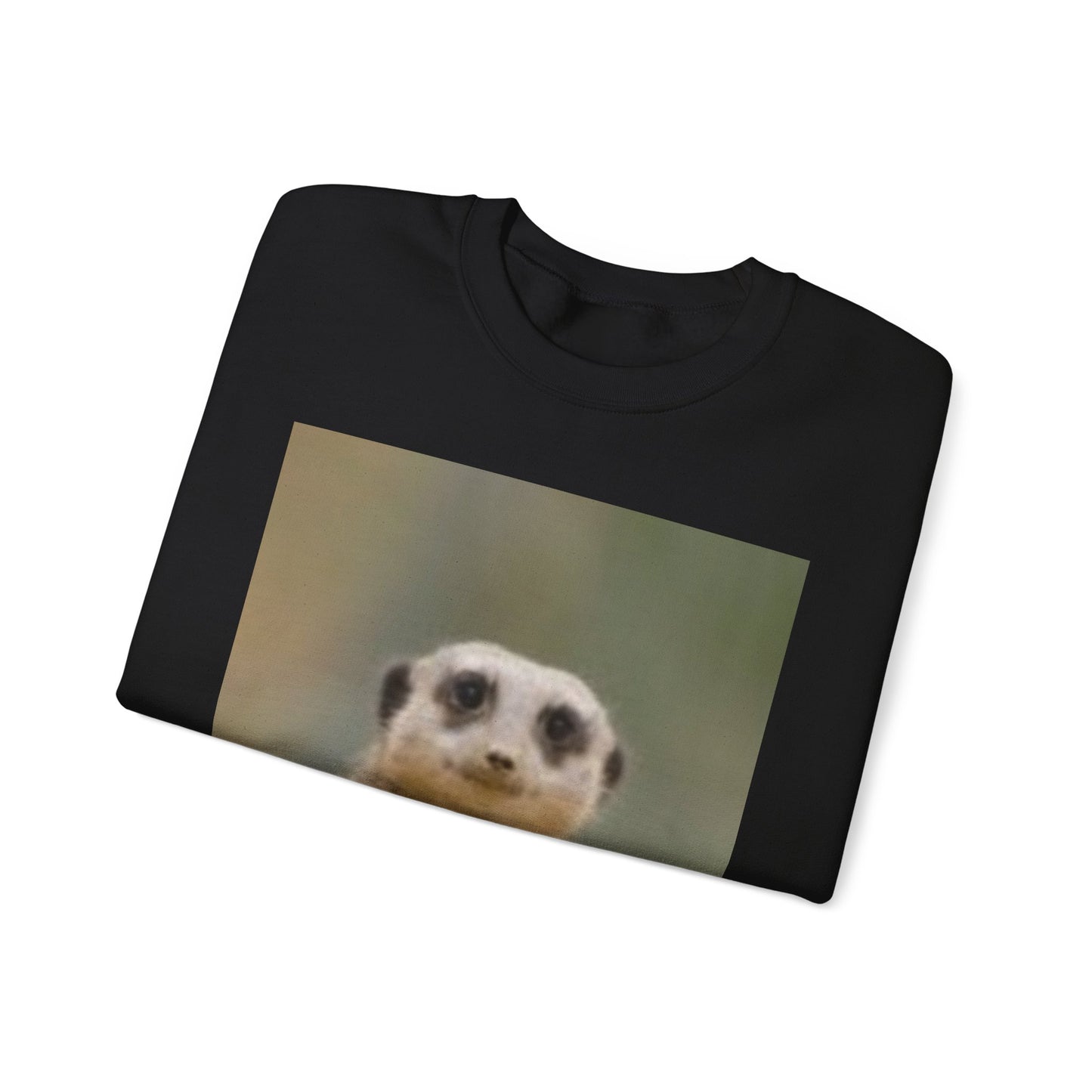 Sudadera de cuello redondo con fotografía de vida silvestre: un regalo para los amantes de la naturaleza 