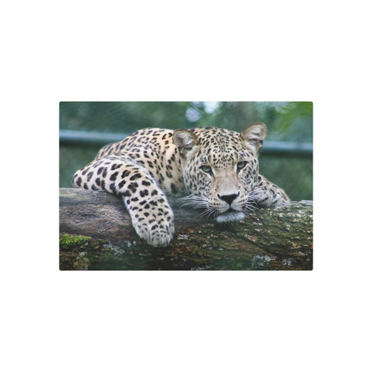 Panneau d'art en métal Guépard