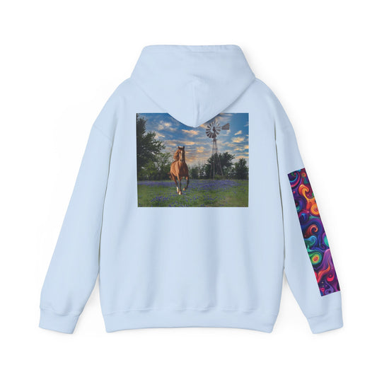 Texas-Inspired Unisex Hooded Sweatshirt with Colorful Sleeve Design