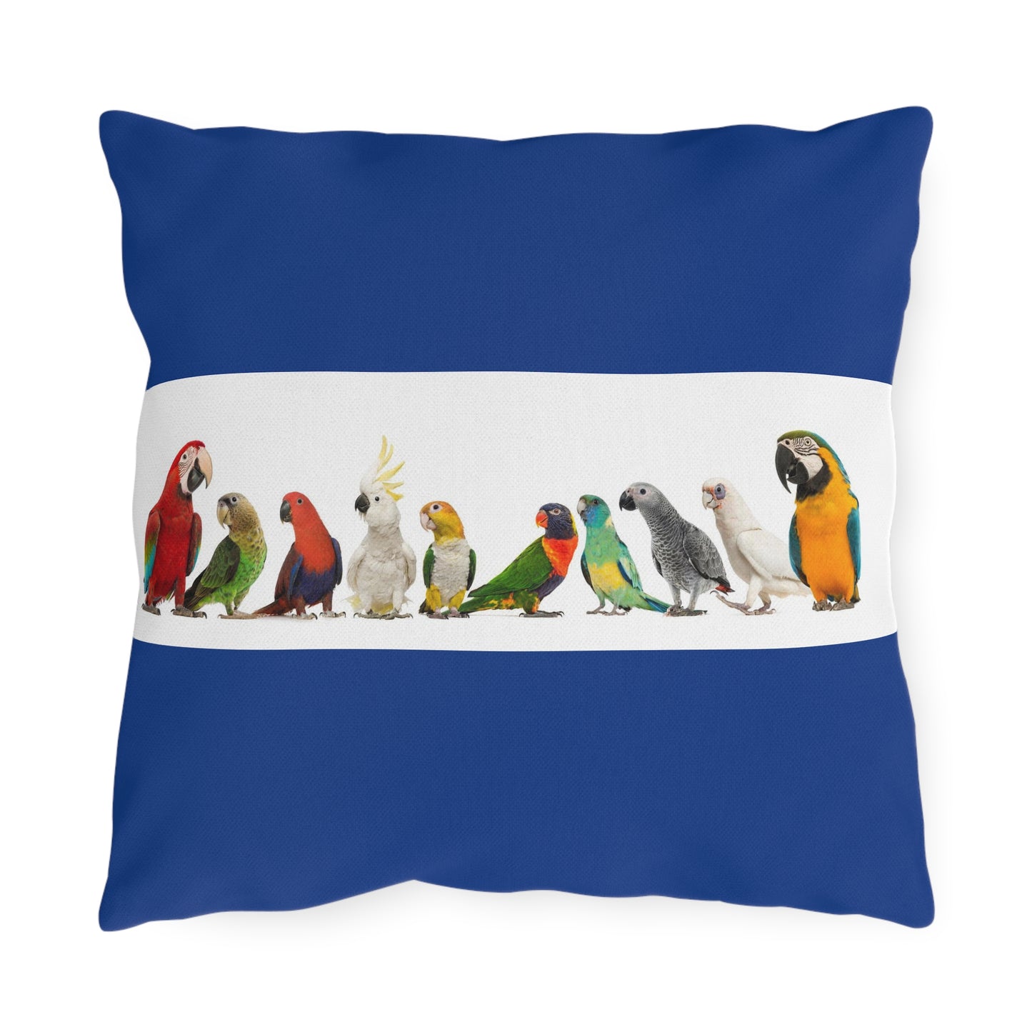 Outdoor Pillows