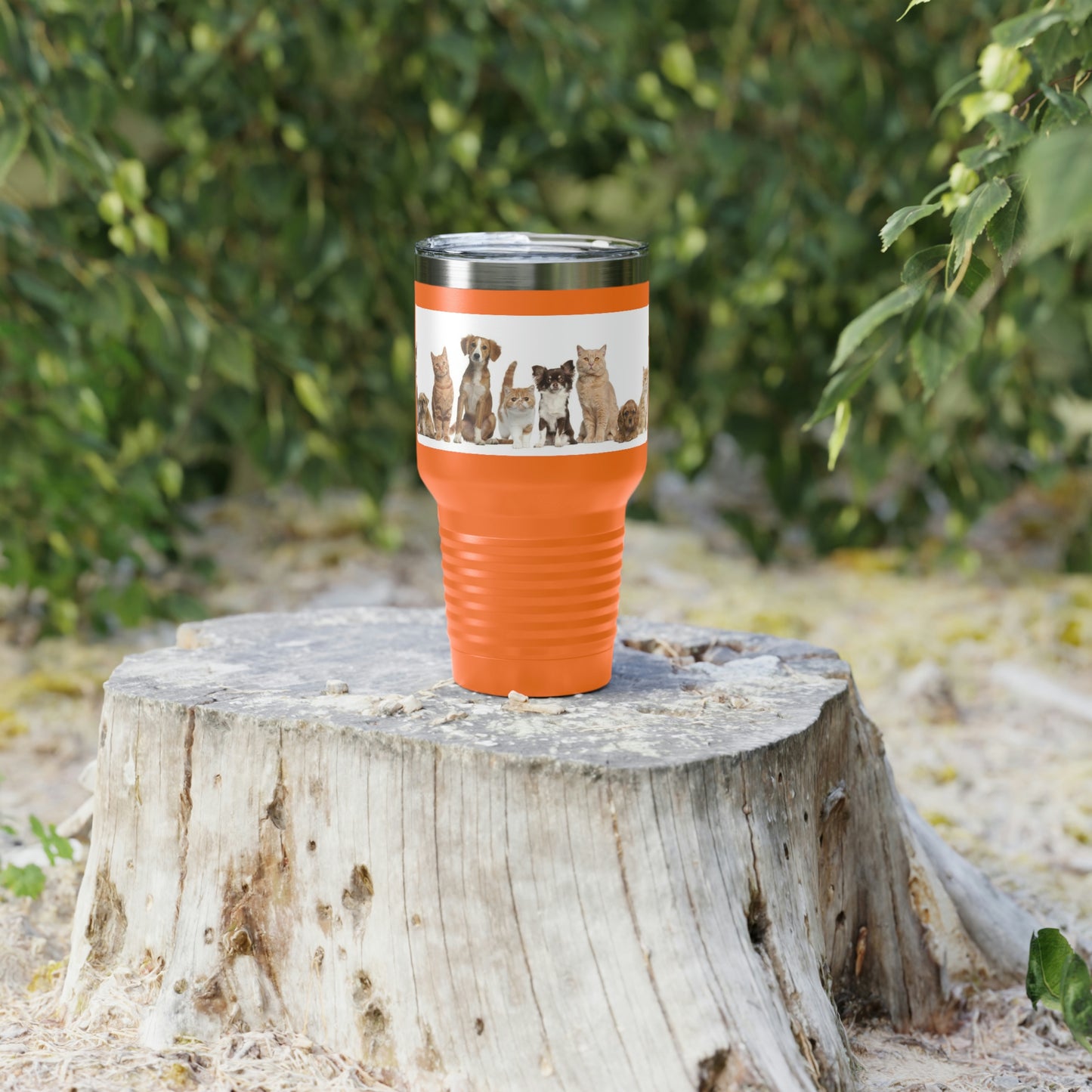 Gobelet à col rond pour chats et chiens, 30 oz, 5 couleurs, pour les voyages, le travail, la détente, les achats, le jardinage, la randonnée