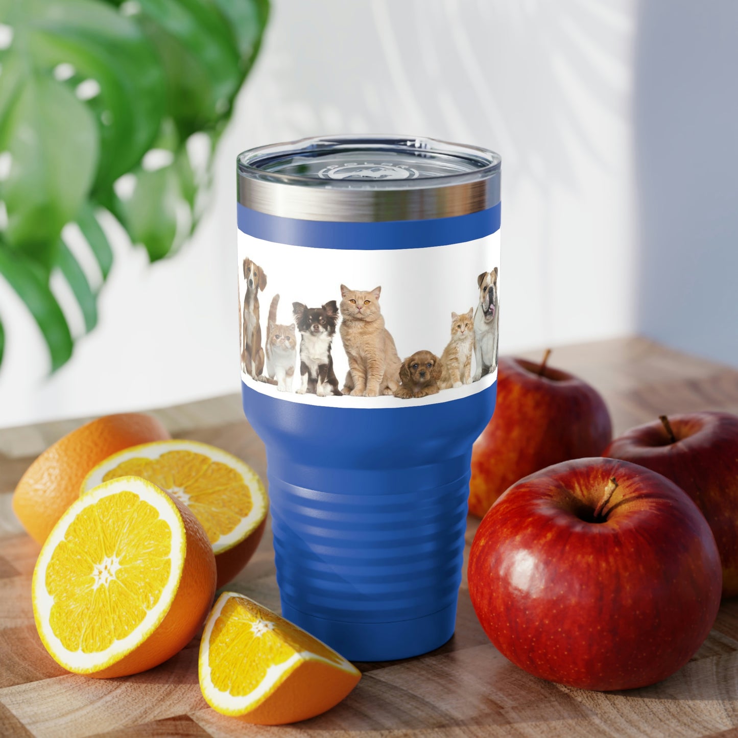 Gobelet à col rond pour chats et chiens, 30 oz, 5 couleurs, pour les voyages, le travail, la détente, les achats, le jardinage, la randonnée