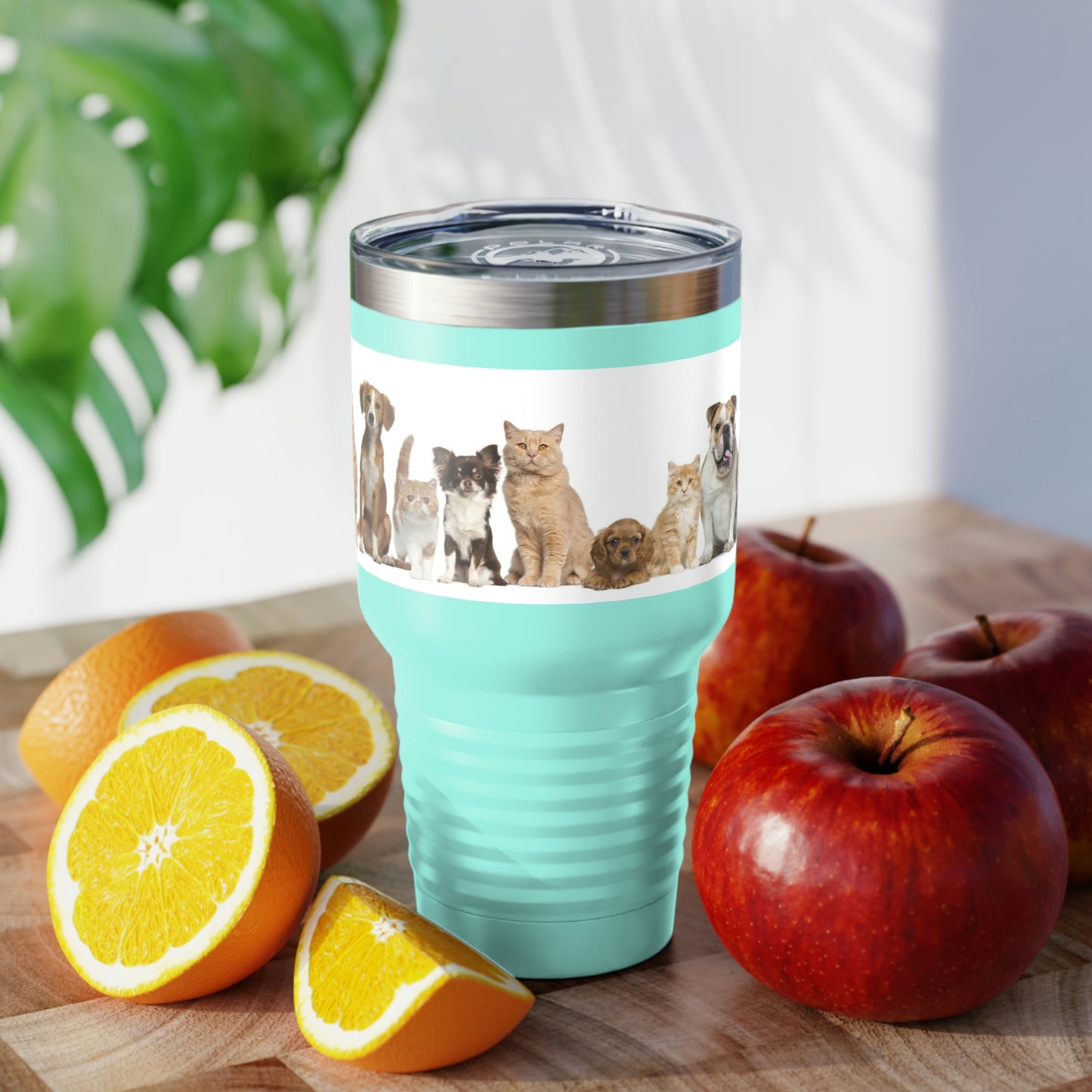 Gobelet à col rond pour chats et chiens, 30 oz, 5 couleurs, pour les voyages, le travail, la détente, les achats, le jardinage, la randonnée