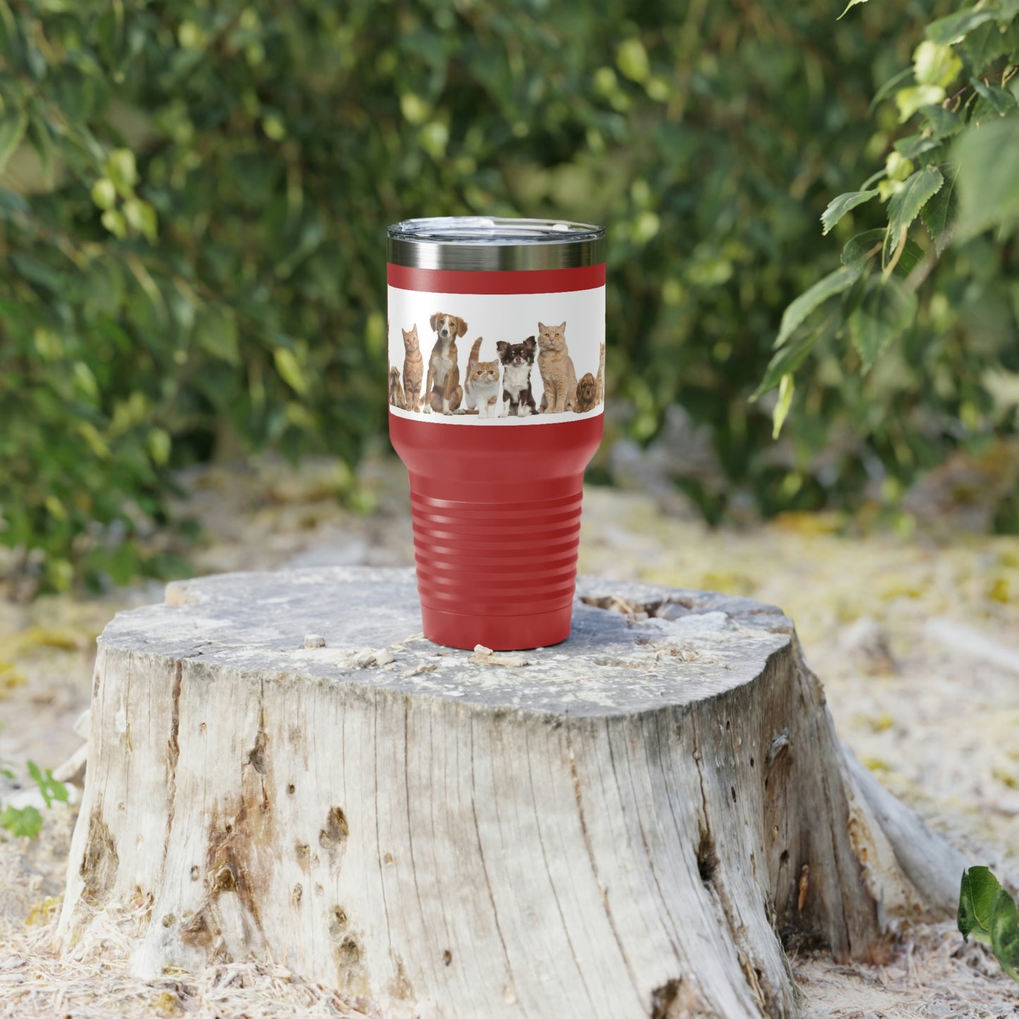 Gobelet à col rond pour chats et chiens, 30 oz, 5 couleurs, pour les voyages, le travail, la détente, les achats, le jardinage, la randonnée