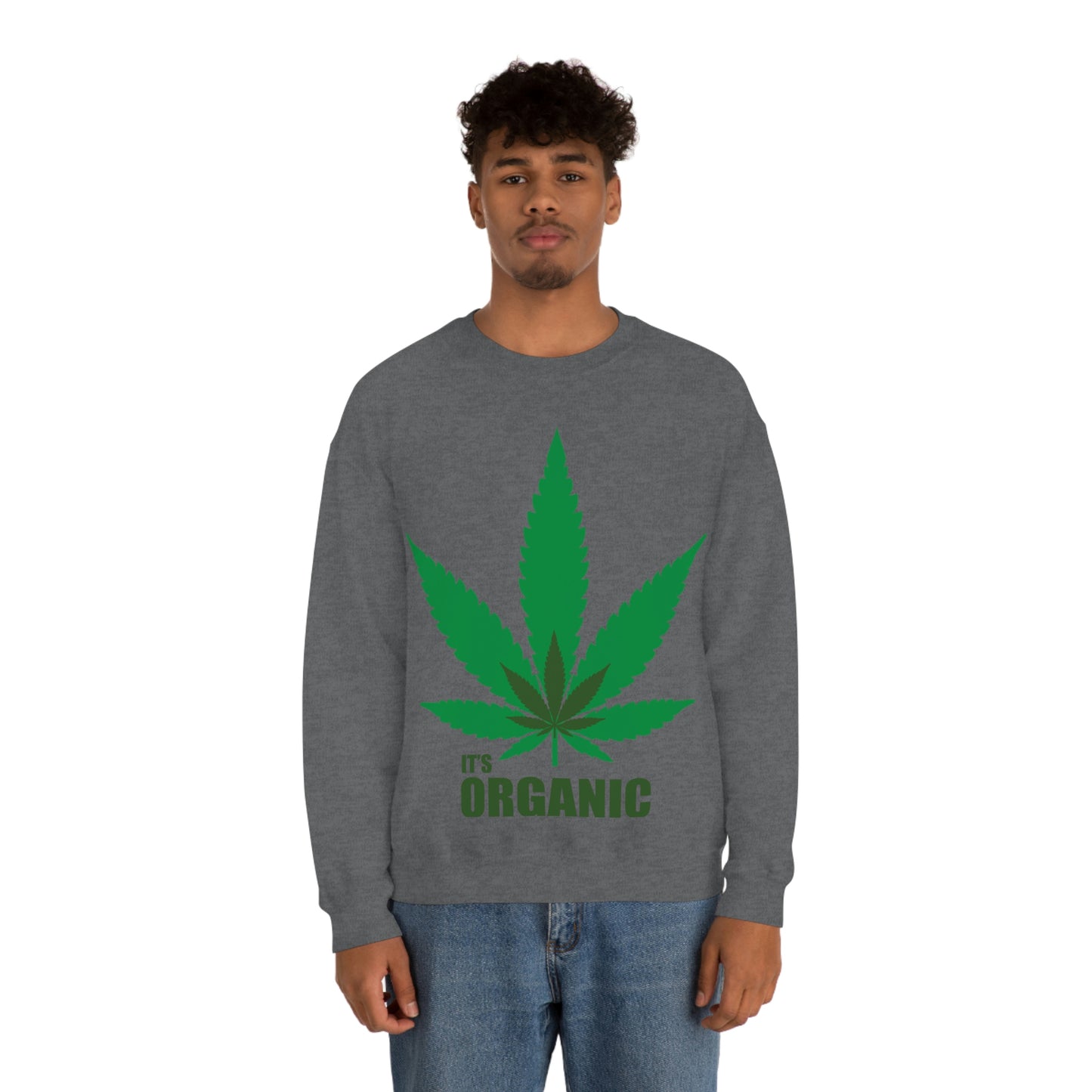 C'est un sweat-shirt à feuilles vertes bio Allons à une fête !