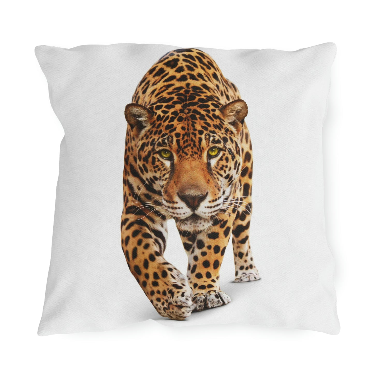 Cheetah Outdoor Pillows Relaxing in my Garden having Fun!