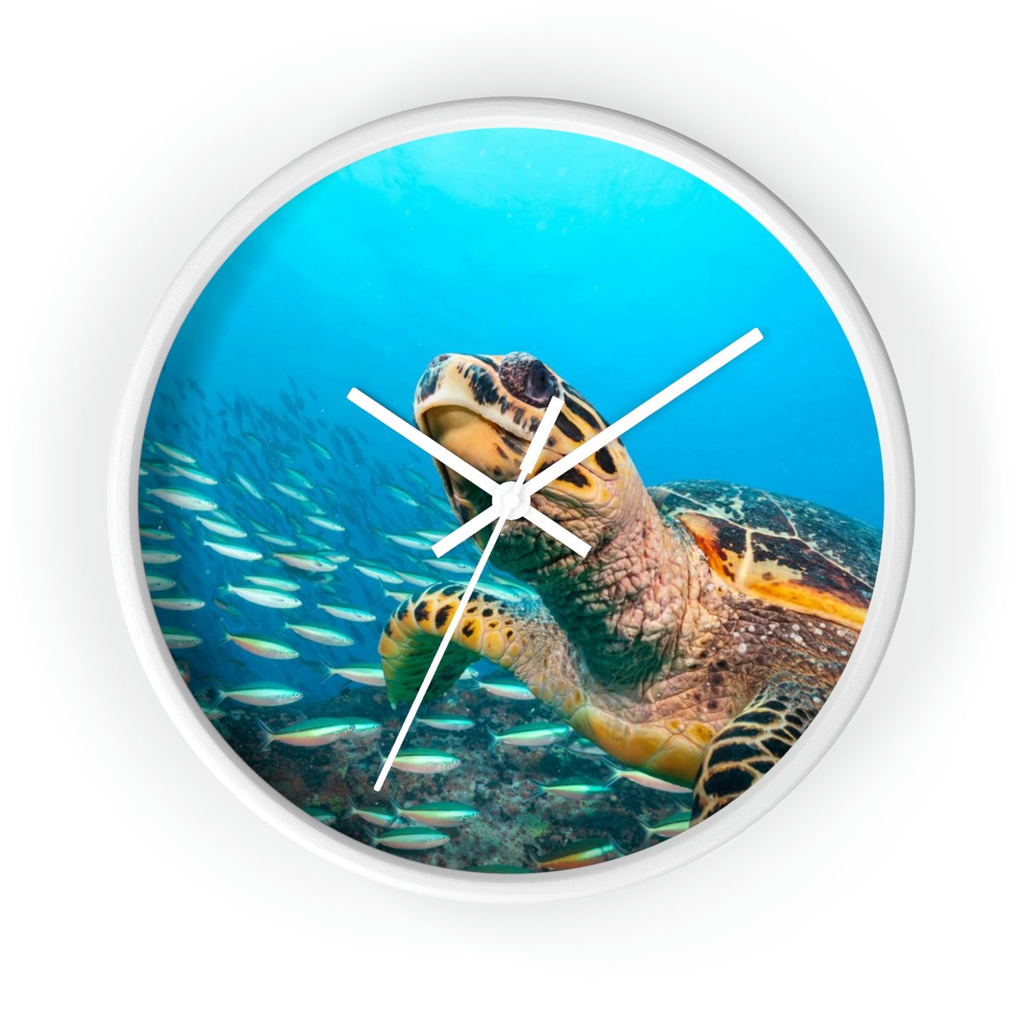 Horloge murale Tortue dans l'océan Couleurs étonnantes ! J'adore !