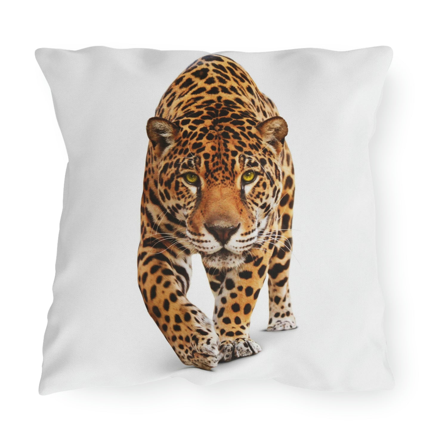 Cheetah Outdoor Pillows Relaxing in my Garden having Fun!