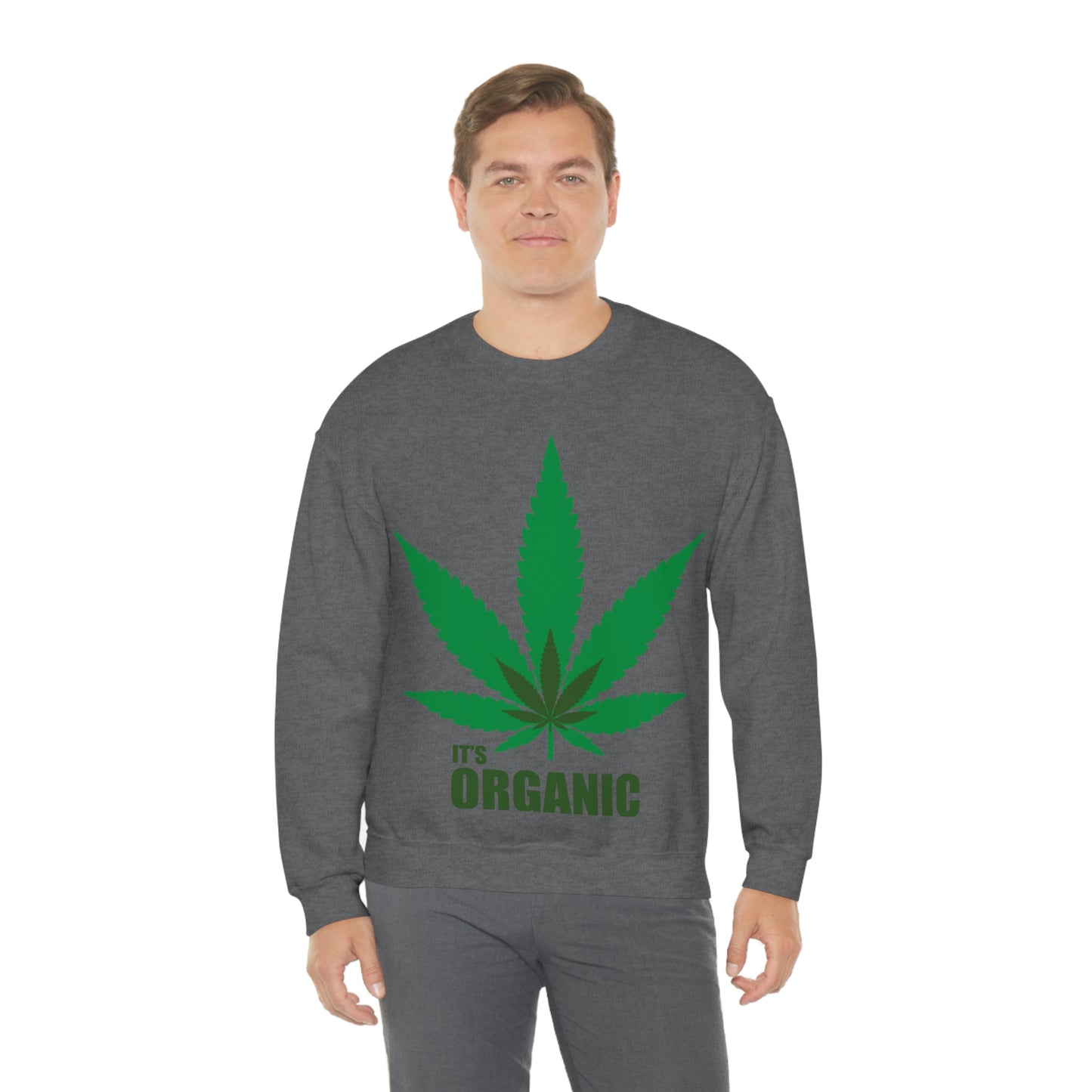 C'est un sweat-shirt à feuilles vertes bio Allons à une fête !