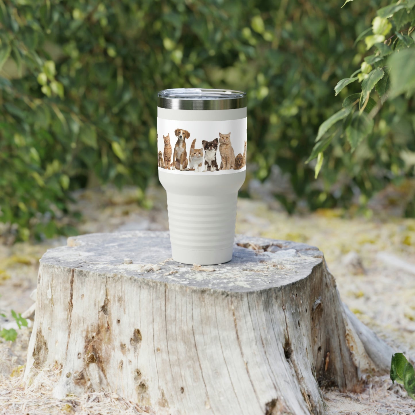 Gobelet à col rond pour chats et chiens, 30 oz, 5 couleurs, pour les voyages, le travail, la détente, les achats, le jardinage, la randonnée